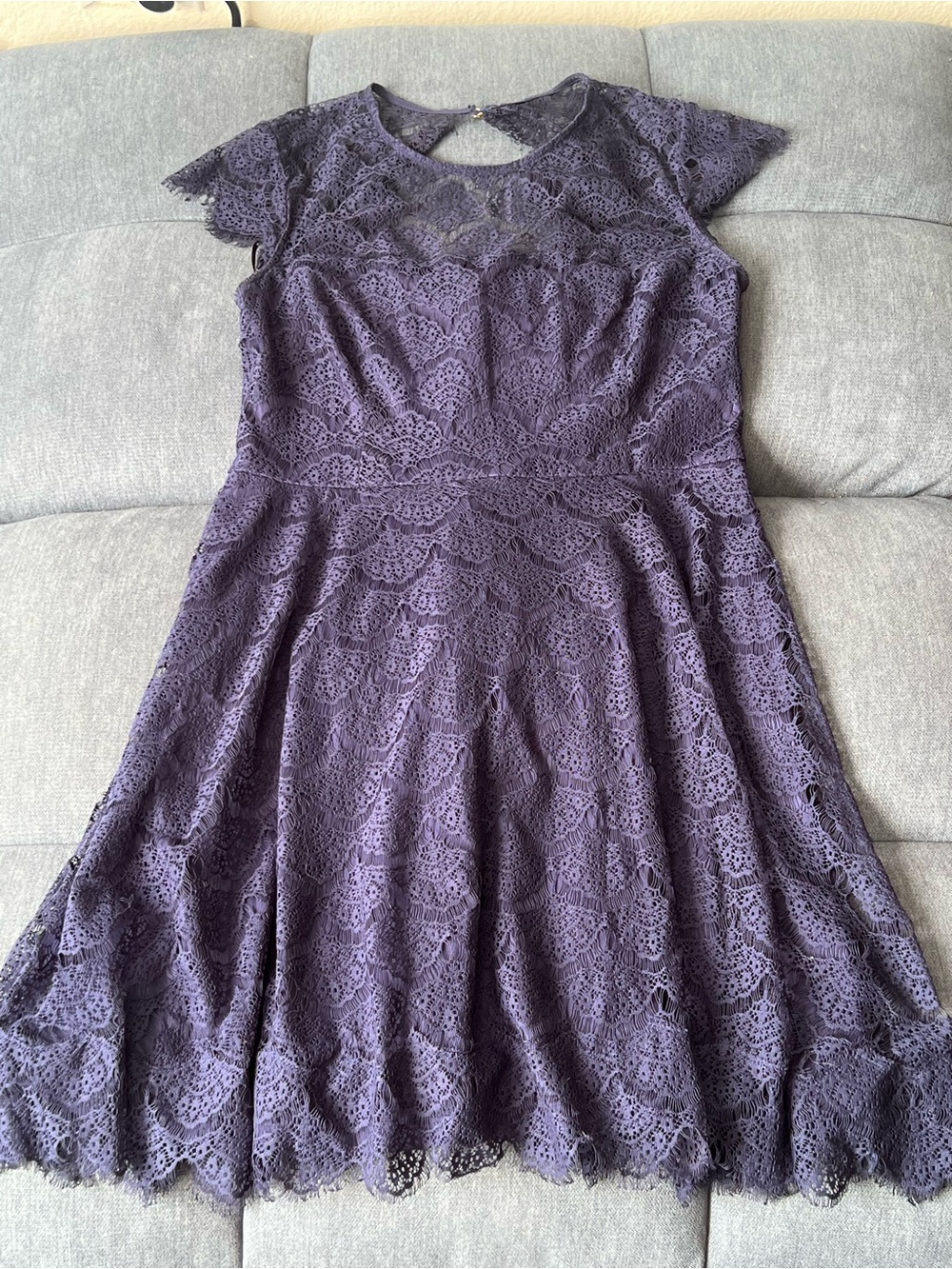 Women's Lace Fit-and-Flare Dress - Navy Blue